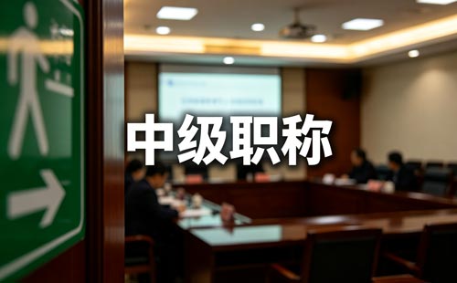 陕西中小学教师职称评委会